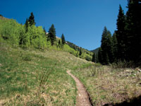 Trail photo